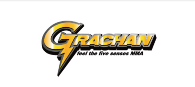 Grachan46 12 6 日 Gayar ガヤール 引き続き導入決定 株式会社スピードリンクジャパン Half Time